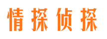 池州市私家侦探